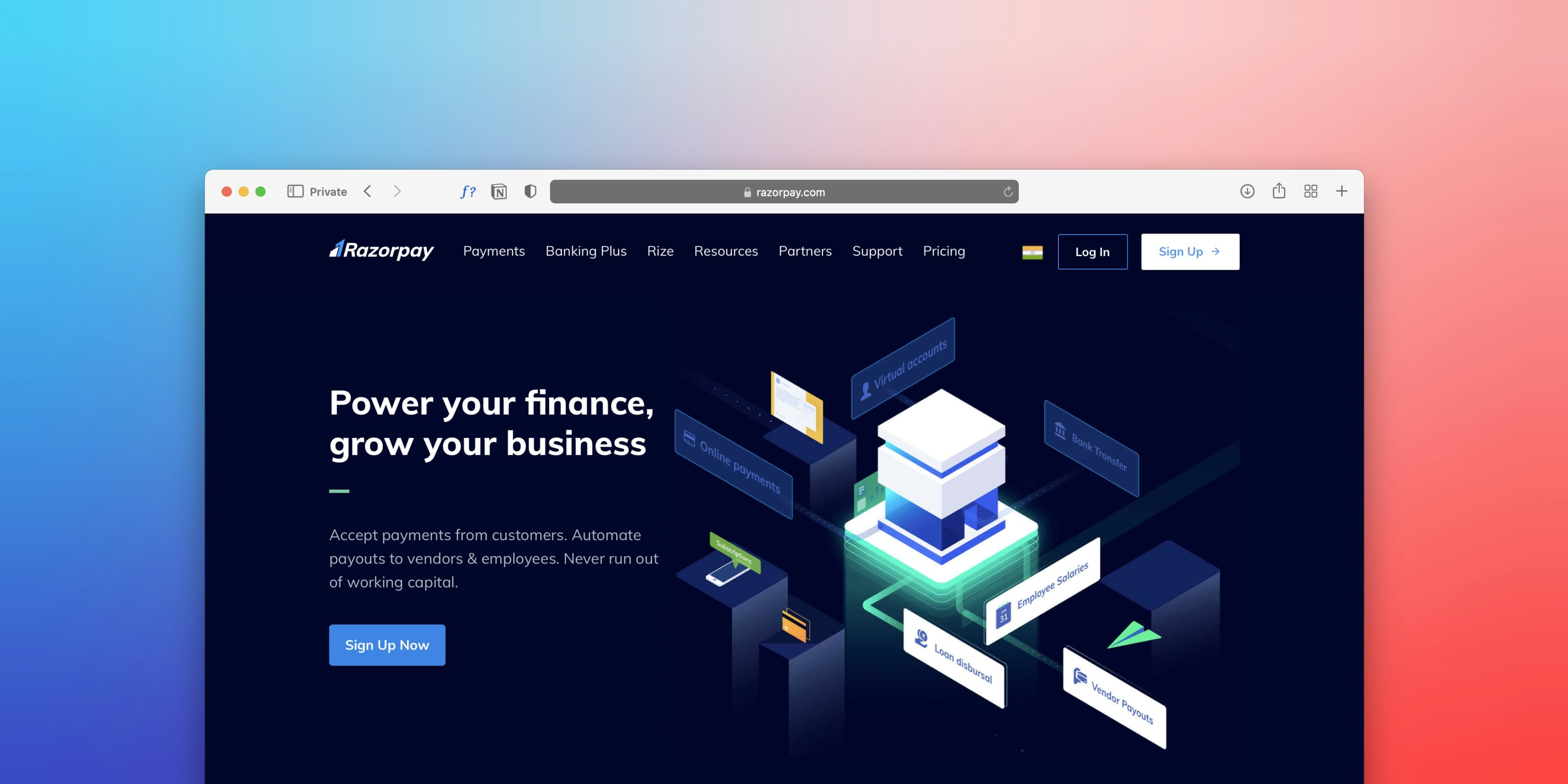 Web Design & Hosting